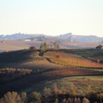 Le Vie del Barolo (Langhe, Piemonte): Un Viaggio tra Vino, Tradizioni e Paesaggi unici