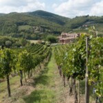 Le Colline del Chianti in Toscana: un Viaggio tra Gusto, Storia e Natura